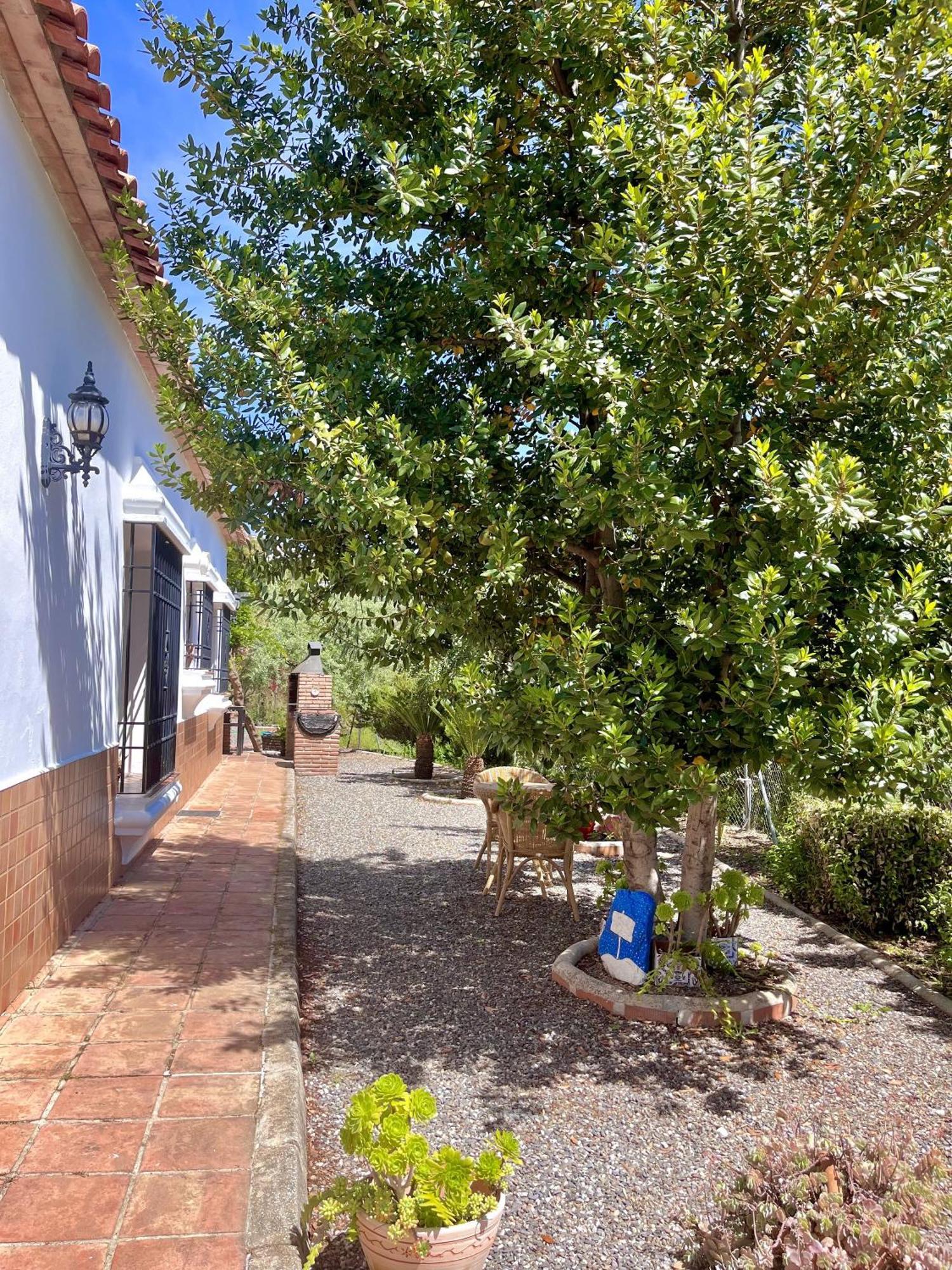 Finca Rural Mazuqueto Jubrique Kültér fotó